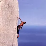 Le Pavoncelle Blu *